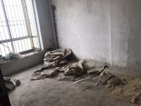 其它圖