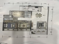 其它圖