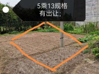 其它圖