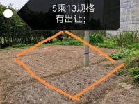 其它圖