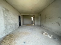 其它圖