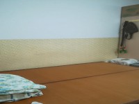 其它圖