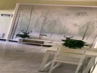 其它圖
