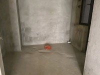 其它圖