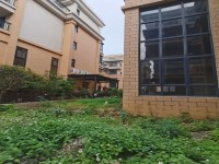 其它圖