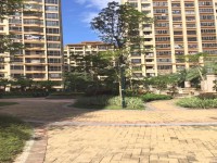 其它圖