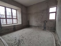 其它圖
