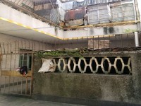 其它圖