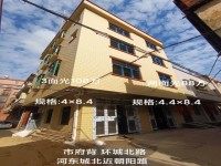 環(huán)城北路全新毛坯私宅 葵樹(shù)新園