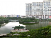 其它圖