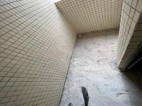 其它圖