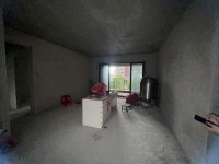 其它圖