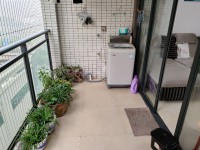 其它圖