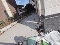 其它圖