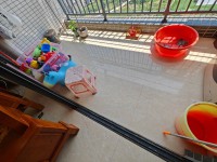 其它圖