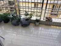 其它圖