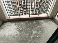 其它圖