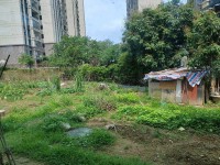 其它圖