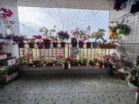 其它圖
