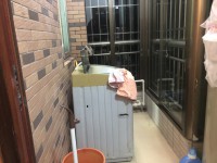 其它圖