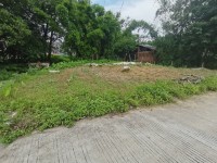 其它圖