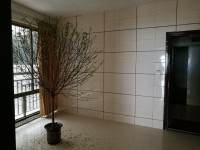 其它圖
