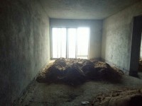其它圖