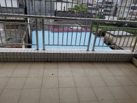 其它圖