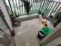 其它圖