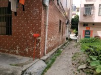 其它圖