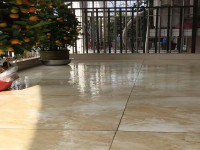 河西新世界花園兩房出租 家電齊全 綿登新世界花園