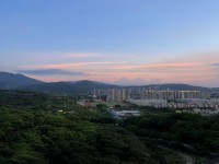 其它圖