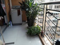 其它圖