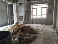 其它圖