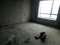 其它圖