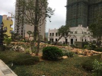 其它圖