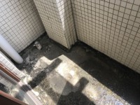 其它圖
