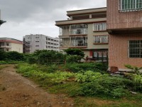 其它圖