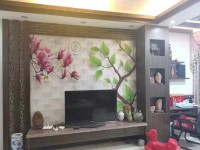 其它圖
