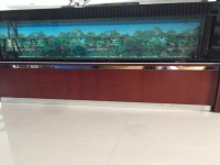 其它圖