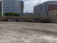 其它圖