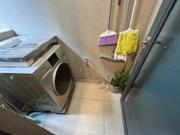 其它圖