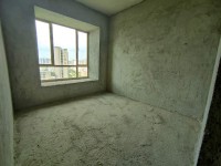 其它圖
