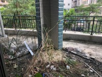 其它圖