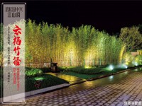 其它圖
