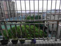 其它圖