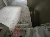 其它圖