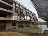 0首付買6小學(xué)位私宅 河西6小