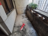 其它圖