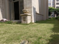 其它圖